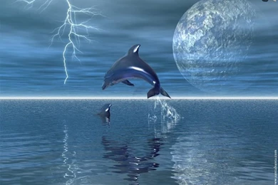 Gallery For   Santabanta Nature