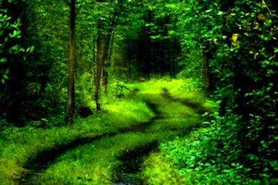 Santa Banta Wallpapers Nature Hd