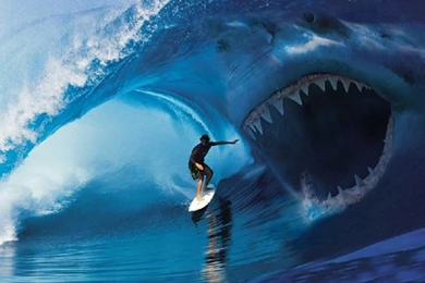 24 Shark Attack Surfer Viehd HD Wallpapers 845 :: Shark Hd Wallpapers