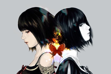 Fatal Frame 2   (