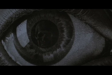 Donnie Darko   Donnie Darko Image (18685042)   Fanpop