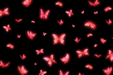 FATAL FRAME Project Zero Supernatural Survival Horror Dark 1fframe ...