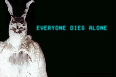 Identities Erased): Donnie Darko Wallpapers