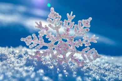 Snow Flakes Wallpapers 2015   Grasscloth Wallpapers