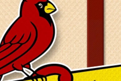 Download Wallpapers 1080x1920 St Louis Cardinals, Cardinals ...