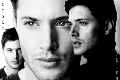 Jensen Ackles WP4   Jensen Ackles Wallpapers (1898281)   Fanpop