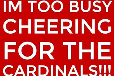 Quotes About St Louis Cardinals. QuotesGram