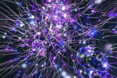 Crazy Backgrounds   Wallpapers Zone