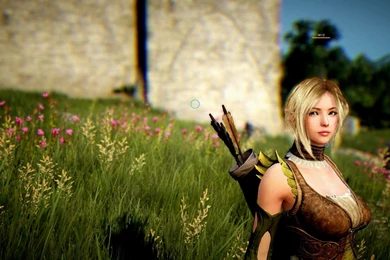 BLACK DESERT Online Mmo Rpg Fantasy Fighting Action Adventure ...