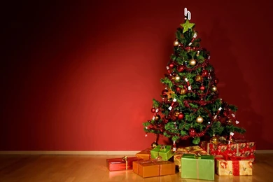 1920x1200 Christmas, Xmas, Christmas Tree, Gifts, Christmas Tree ...