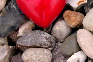 Heart Archives   Download Free HD iPhone 6s iPad Wallpapers