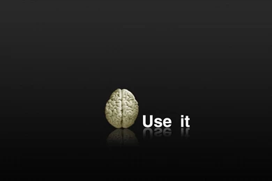 Free Funny Wallpapers For Desktop  AtozWallpapers