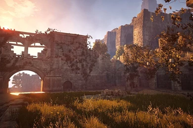 Black Desert: CBT2 & Release Date   Ordo Imperialis