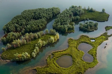 Bing Photos   Page 1 Of 41