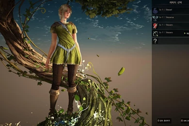 Black Desert Closed Beta Character Selection HD+   YouTube