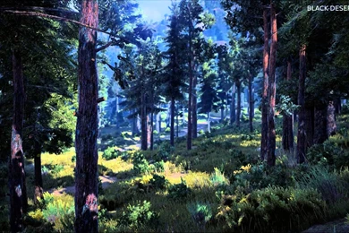 Black Desert Environment Tour   YouTube