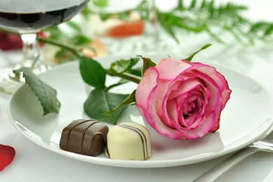 Free Beautiful Valentine S Day Rose Picture Wallpapers Wallpapers ...