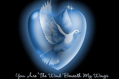 Beautiful Valentine Day Wallpapers 3 : World Page On Rediff Pages