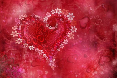 Stunning Collection Of Valentines Day Pictures 2014