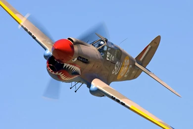 7 Curtiss P 40 Warhawk HD Wallpapers