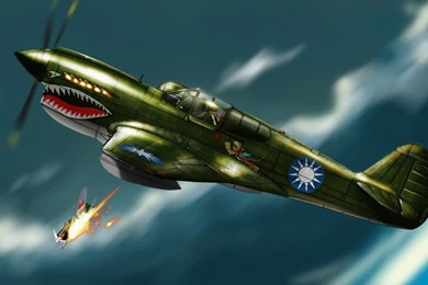 P 40 Warhawk (id: 41116) – BUZZERG