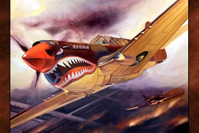 Curtiss P 40 Warhawk Computer Wallpapers, Desktop Backgrounds ...