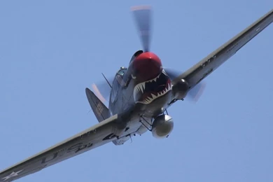 P40Chino2010.jpg