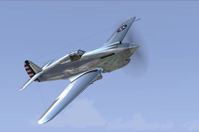 The A2A Simulations Community • View Topic   Here Is P 40 Super Shiny