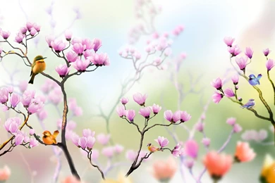 Colorful Birds In Tulip Tree >> HD Wallpaper, Get It Now!