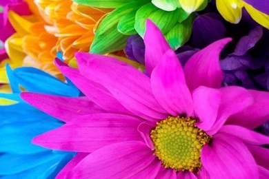 Hd Mobile Wallpapers Download For Cell Phone Img 18