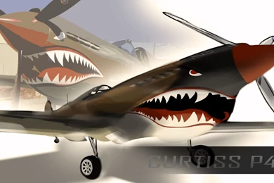 Curtiss P 40 Warhawk By SnatchIDs On DeviantArt