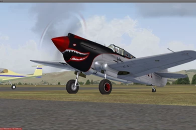 The A2A Simulations Community • View Topic   Personal P 40 Scheme WIP