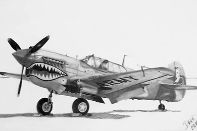 Curtiss P 40 Warhawk By Dave3422 On DeviantArt