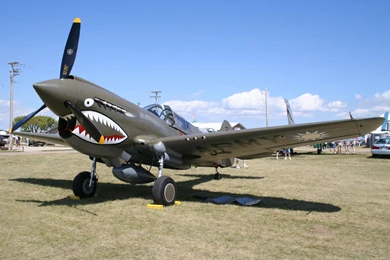 P 40 Warhawk Image   Aircraft Lovers Group   Mod DB