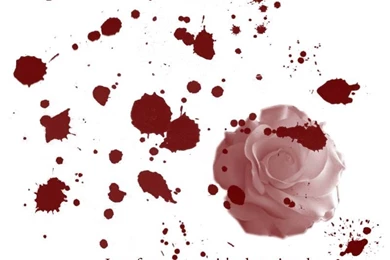 Taking Back Sunday Wallpapers   FunnyDAM   Funny Images, Pictures ...