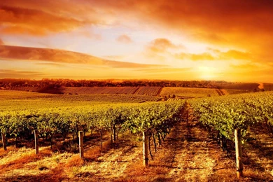 Landscape Live Wallpapers For Desktop 1080x1920   Cool PC Wallpapers