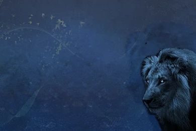 Tidy HD Wallpapers: Fedora