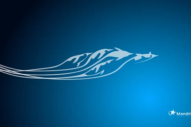 Fedora Wallpapers 152911