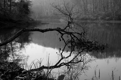 SandraJoanna's DeviantArt Favourites