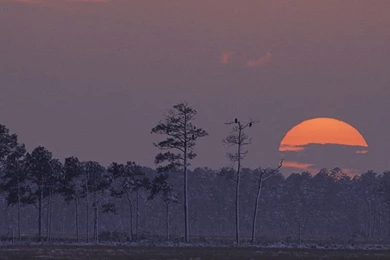 Refuge Watch » Wallpapers