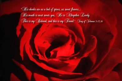 Free Backgrounds Pictures For My Computer Wallpapers Cave