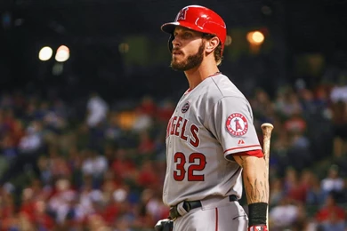 Josh Hamilton Will Not Face Discipline — MLB — The Sports Quotient