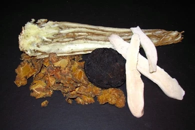 Transcriptional Profiling Of Chinese Medicinal Formula Si Wu Tang ...