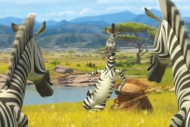 Madagascar: Escape 2 Africa Wallpapers