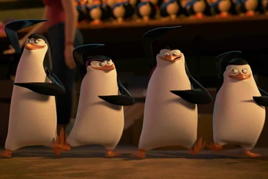 Penguins Of Madagascar HD Wallpapers ~ Toptenpack.com