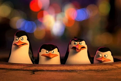 Penguins Of Madagascar Movie Wallpapers HD