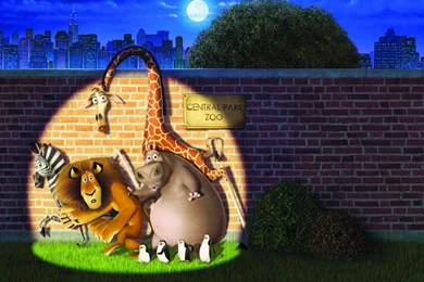 HD Movie Wallpapers The Characters In The Movie Madagascar Escape ...