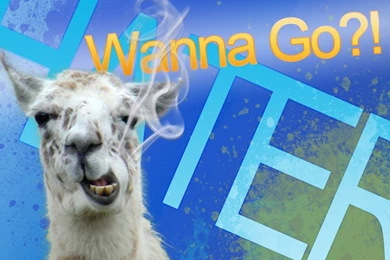 Llama Backgrounds 2.4 By Loganfayle On DeviantArt