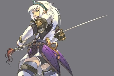 Monster Hunter Computer Wallpapers, Desktop Backgrounds