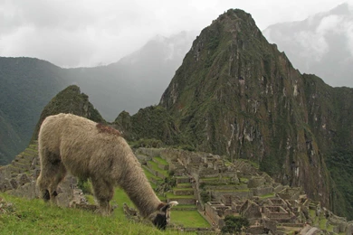 Inca Civilization Of Peru South America